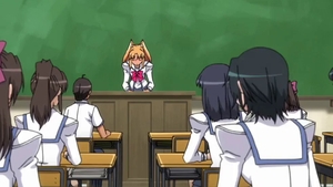 Receiving facial escorted by huge boobs