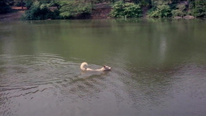 Slamming hard alongside lustful Leslie Bovee